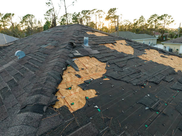 Best Roof Moss and Algae Removal  in Lake Wales, FL